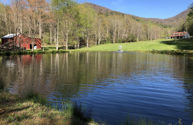 Cool Valley Cabin at Grassy Fork. nStarlink internet installed.