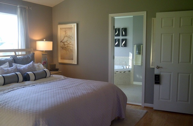 Corporate Housing/Relocation/1BRM/1Ba/30D/IAD