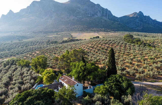 Cortijo Abril - Luxury Andalusian Finca for families, groups and celebrations
