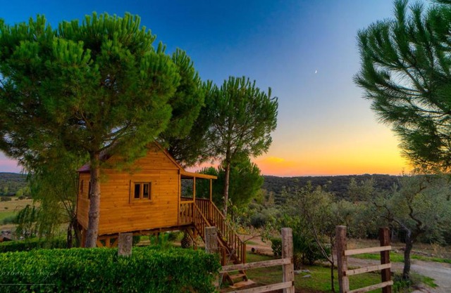 Cortijo señora de las Angustias 2
