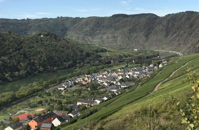 Cosy apartment for 2 guests with WIFI, TV, pets allowed and parking