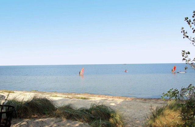 Cosy apartment for 4 guests with WIFI, TV, terrace and pets allowed