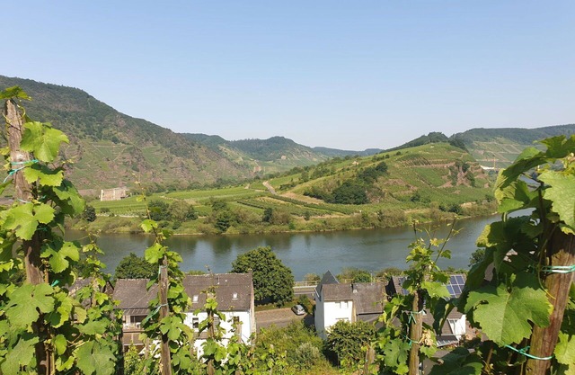 Cosy apartment in villa for 2 guests with WIFI, TV, balcony, pets allowed and parking