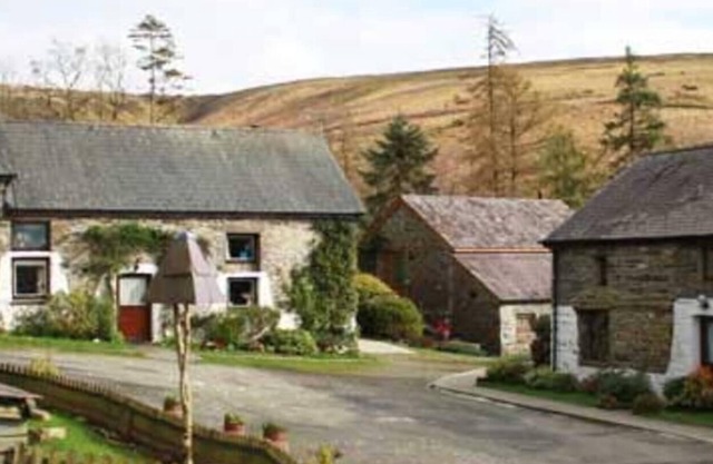Cosy stone cottage on Llanllwni Mountain
