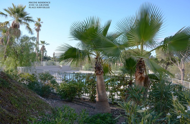 COTE D'AZUR NEW AND SECURE F3 APARTMENT 10 KM FROM THE SEA - QUIET - SWIMMING POOL