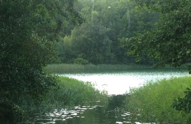 Cottage at the horse farm, 2 bedrooms