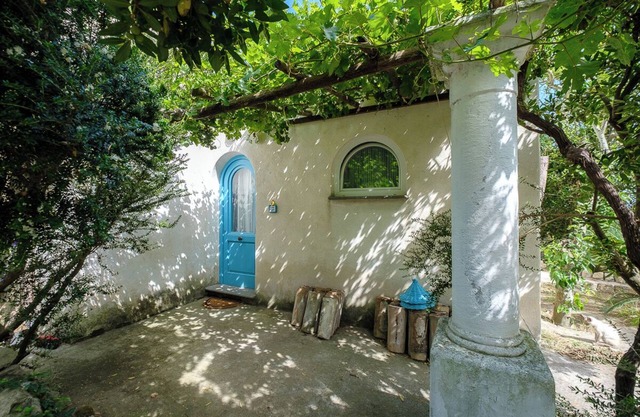 Cottage by the sea surrounded by greenery