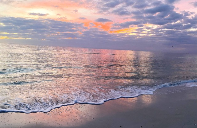 Couples Retreat, on Canal, Walk to Downtown Bonita, Nearby Pool