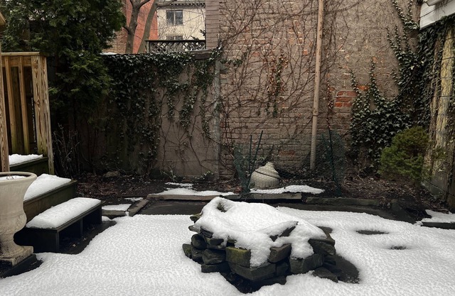 Cozy 1BR in Center Square – Near MVP Arena, NYS Capitol & Empire Plaza, Sleeps 4