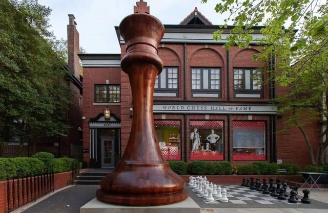 Cozy 1BR with W&D and Parking, near BJH STL Zoo