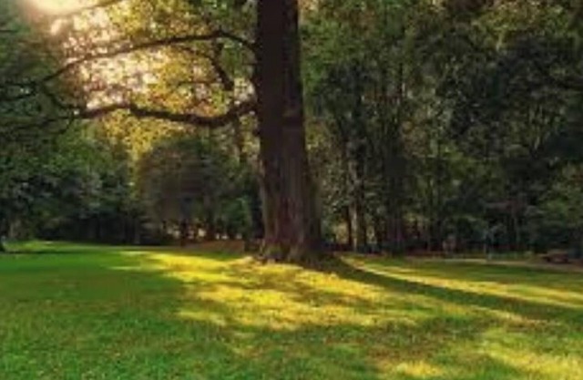 Cozy and Private Apartment in Atlanta Suburbs