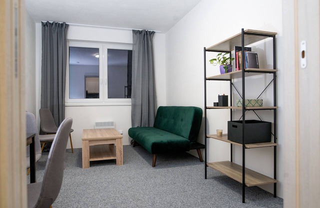Cozy apartment in Brno Apt 1
