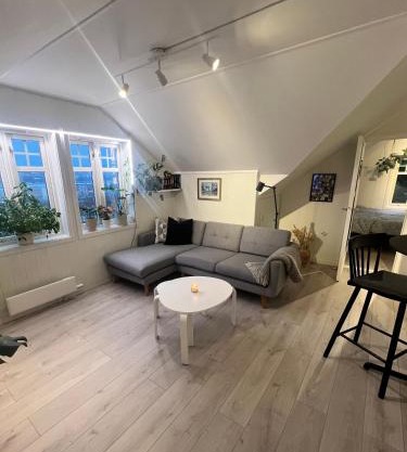 Cozy apartment on the hill