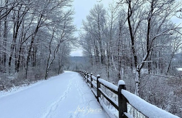 Cozy apartment on the Susquehanna river and near Pine Creek Rails to Trails.
