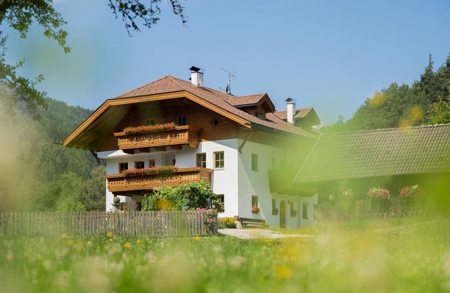 Cozy apartment surrounded by nature