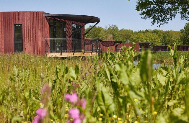 Cozy Bungalow with Pool