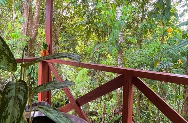 Cozy Cabin In La Fortuna