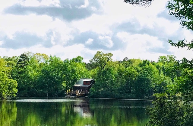 Cozy Cabin on a private lake.