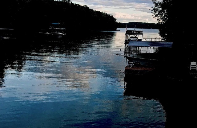 Cozy Cabin on the Water in Quiet Cove on Lake Lanier Near Gainesville Marina