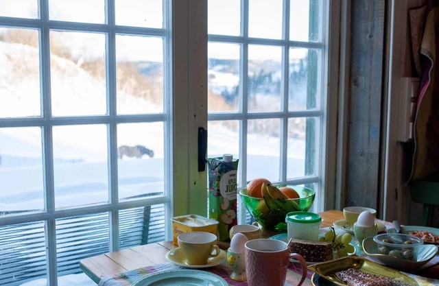 Cozy Cabin Retreat in Scenic Valley, E6 South of Trondheim