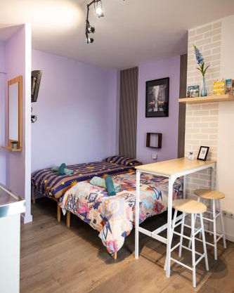 Cozy compact studio France