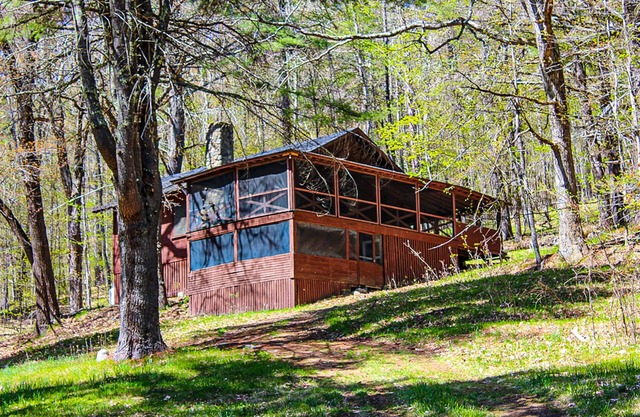 Cozy cottage near Lake Kanasatka with kayaks , dog-friendly