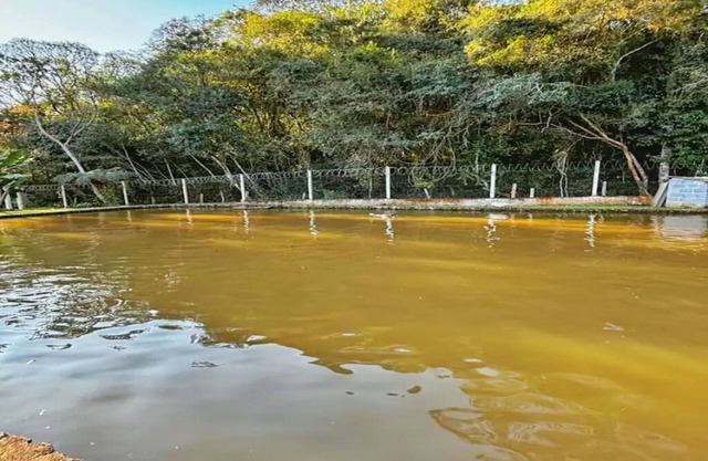 Cozy farm in Ibiúna, with swimming pool, barbecue.