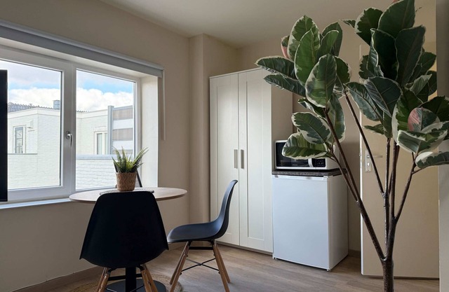 Cozy & Fully Equipped Studio in Eindhoven 04