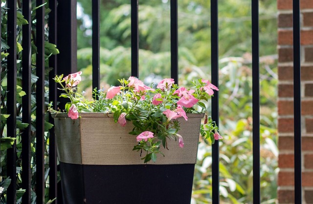 Cozy Guest Suite with Private Entrance