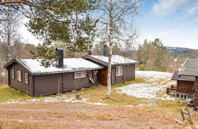 Cozy Home In Rauland With Wifi