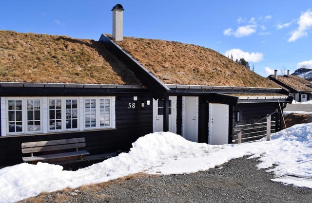 Cozy Home In Rjukan With House A Mountain View