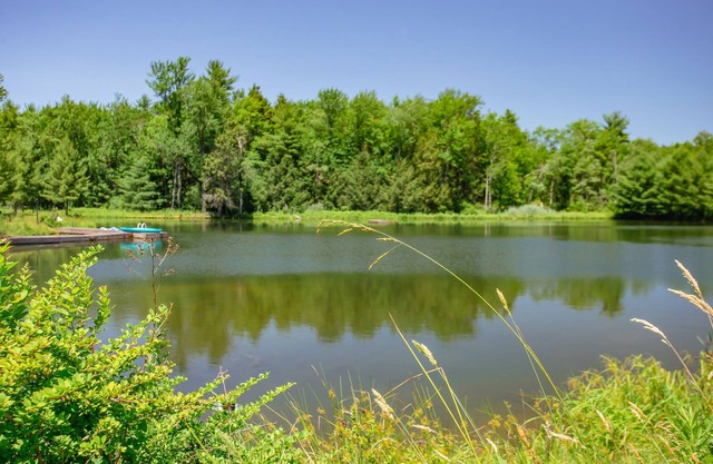 Cozy home on17acres, overlooking large private pond w/heated pool, and hot tub.