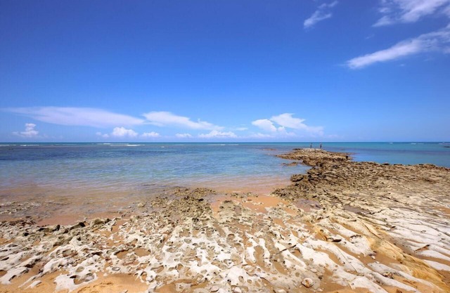 Cozy house in Praia do Espelho, 60 meters from the sea