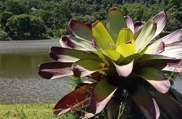 Cozy house in the middle of nature: wi fi, barbecue, fireplace