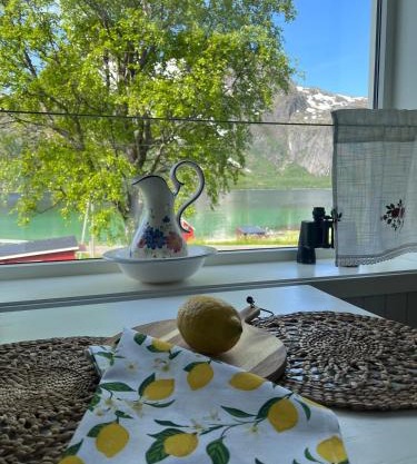 Cozy house with amazing view Lofoten and Vesterålen