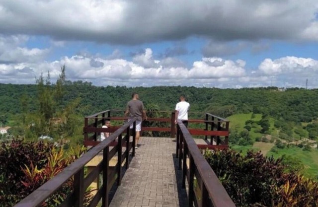 Cozy in banana trees