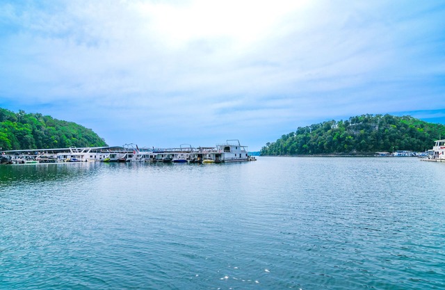 Cozy Lake Cumberland Retreat with hot tub, just above Jamestown Marina!nnn