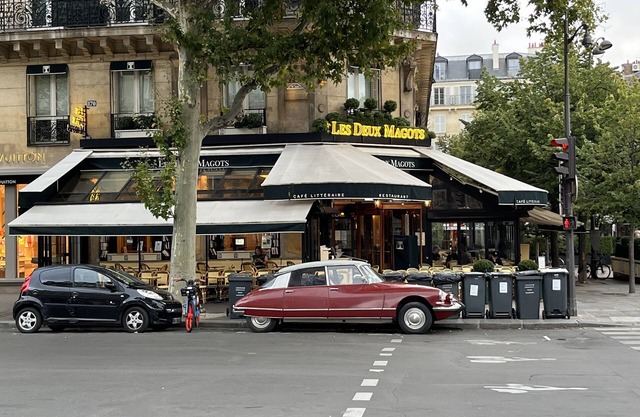 Cozy Nest in the Heart of Saint Germain des Pres - Rue du Dragon Left Bank condo