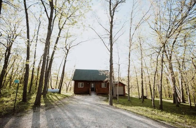 Cozy Pettinger Cabin @ Highest Elevation in CTY