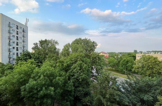 Cozy room - nice view