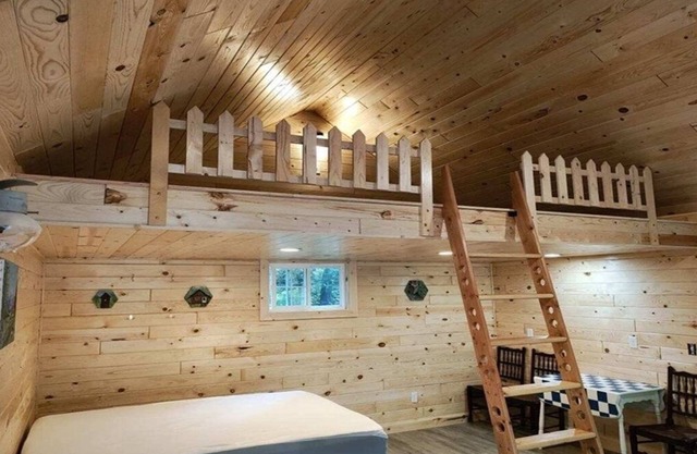 Cozy Rustic Sleeping Cabin in Isabella