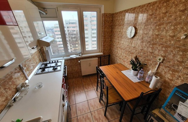 Cozy studio in welcoming Bucuresti with WiFi