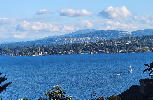 Cozy urban retreat overlooking Lake Washington!