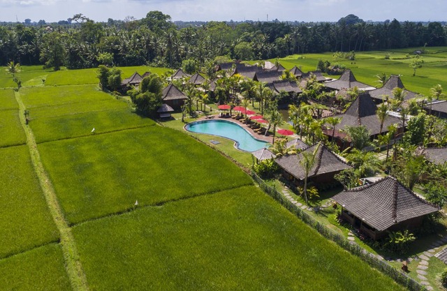 *Cozy Wooden Suite with beautiful view