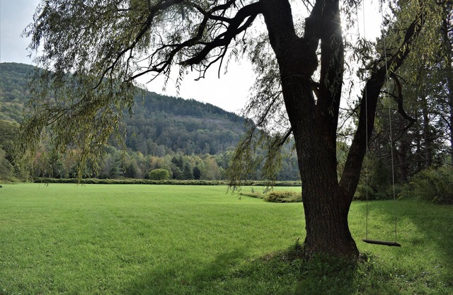 Creek house with expansive mountain views