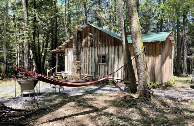 Creekside Log Cabin w/firepit, near quaint towns Thomas/Davis & many state parks