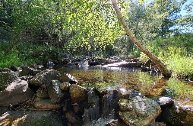 Creekview Suite at Tanager Brook Inn in the Heart of Black Hills by Mt. Rushmore