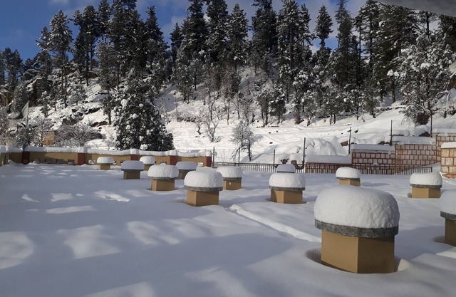 Crown Palace Hotel And Restaurant