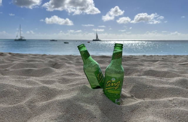 Cupecoy ocean view 2BR condo - pools/private beach