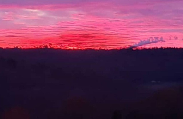 Custom-Built Cabin - Quiet Setting - Amazing Views